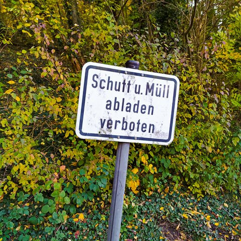 Schild "Müll und Schutt abladen verboten" (Foto: SWR)