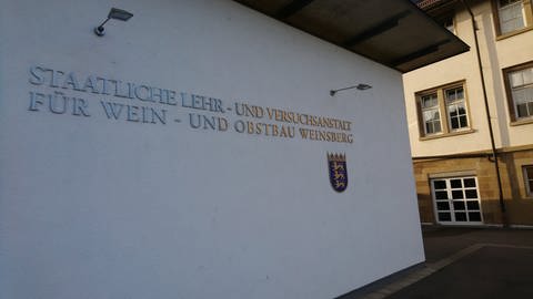 Weinbauschule Weinsberg (Foto: SWR, Uli Jürgens)