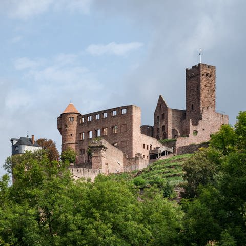 Burg Wertheim (Foto: SWR, Anno Palumbo)