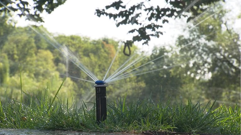 Wie Kommunen in Heilbronn-Franken Wasser sparen (Foto: SWR)