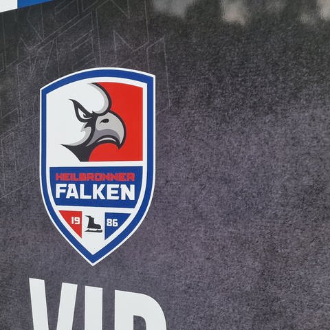 Heilbronner Falken Logo als Symbolbild (Foto: SWR)