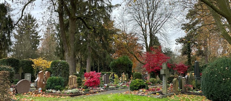 Hauptfriedhof Heilbronn (Foto: SWR)