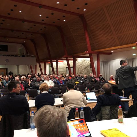 Rund 150 Bürgerinnen und Bürger sind zum Infoabend des Gemeinderates gekommen. (Foto: SWR)