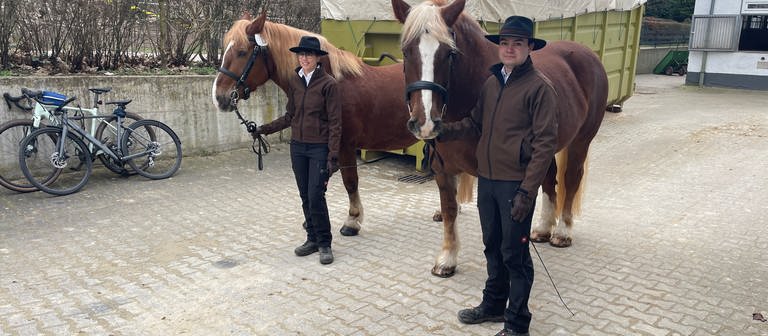 Am Trappensee in Heilbronn finden anlässlich des Pferdemarkts verschiedenste Pferdeprämierungen statt. (Foto: SWR)