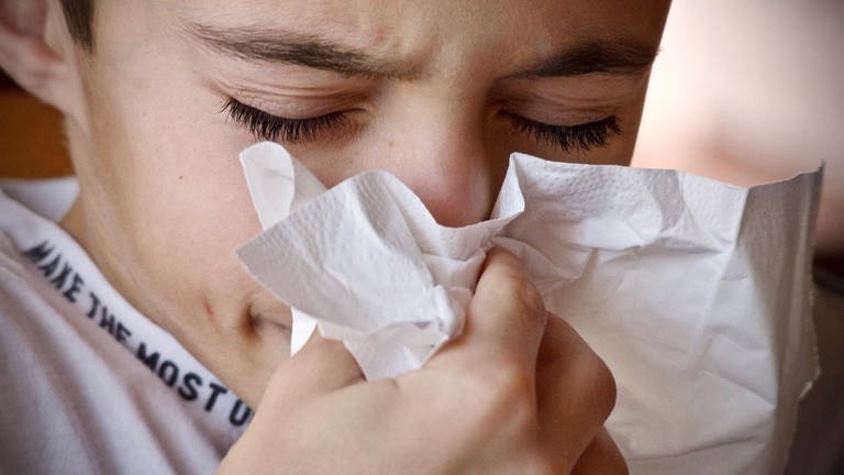 Allergischer Schnupfen ist häufig auf eine Pollenallergie zurückzuführen (Foto: Pressestelle, AOK)