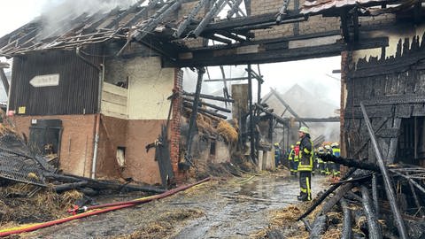 Brand Pferdeherberge Neuenstadt am Kocher (Foto: SWR)