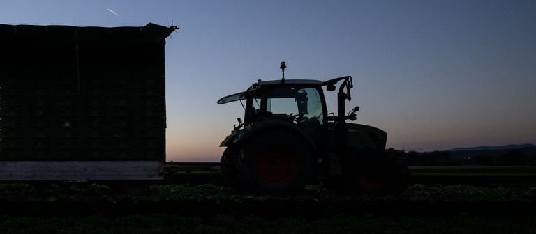 Ein Traktor bei Sonnenaufgang. (Foto: dpa Bildfunk, picture alliance/dpa | Marijan Murat)