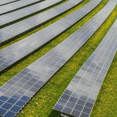 Das Land braucht mehr Solarparks, fordert der Solar Cluster Baden-Württemberg e.V. (Symbolbild) (Foto: Plattform EE BW / Kuhnle & Knödler)