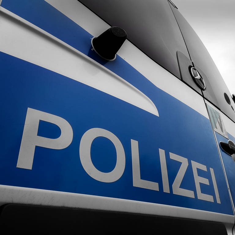 Polizeifahrzeug Heckansicht. In Oberuhldingen ist bei einem Polizeieinsatz ein Schuss gefallen. (Foto: SWR, Jürgen Härpfer (Symbolbild))
