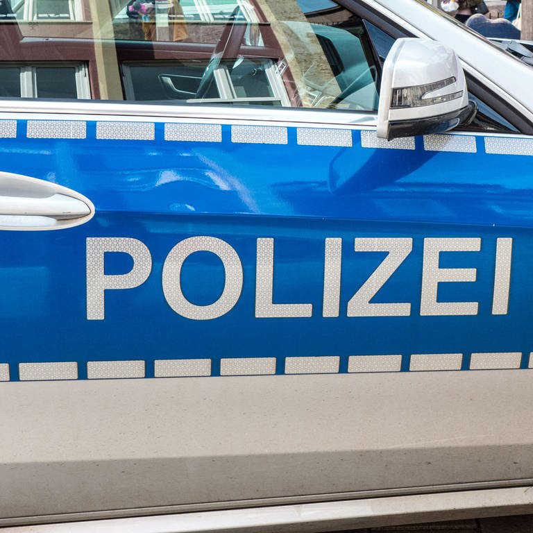 Polizeiauto (Symbolbild) (Foto: SWR)