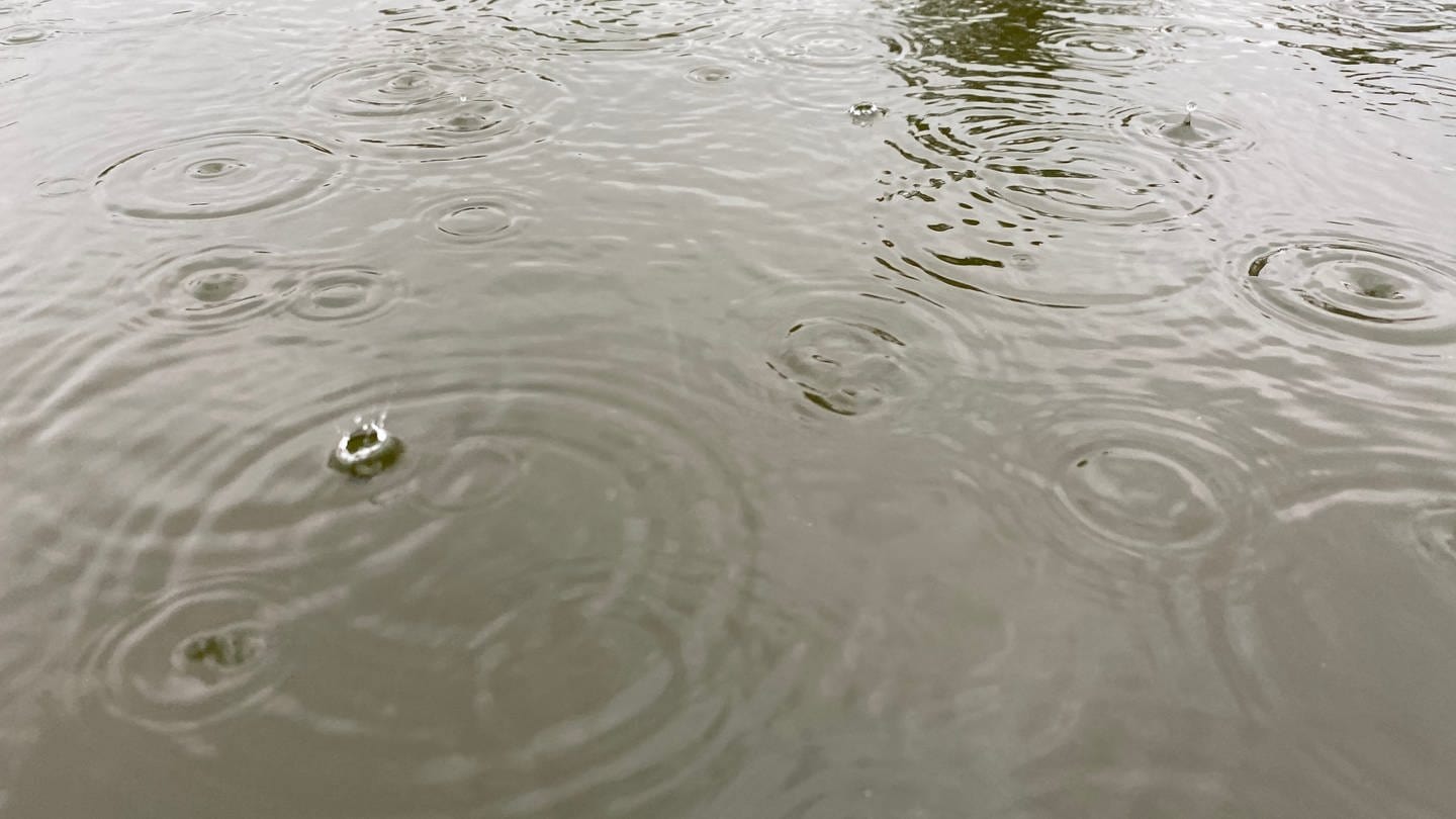 Regentropfen fallen ins Wasser (Foto: SWR)