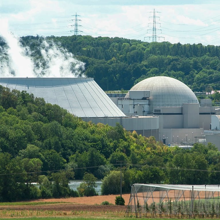 Das Atomkraftwerk Neckarwestheim im Frühjahr (Foto: SWR)