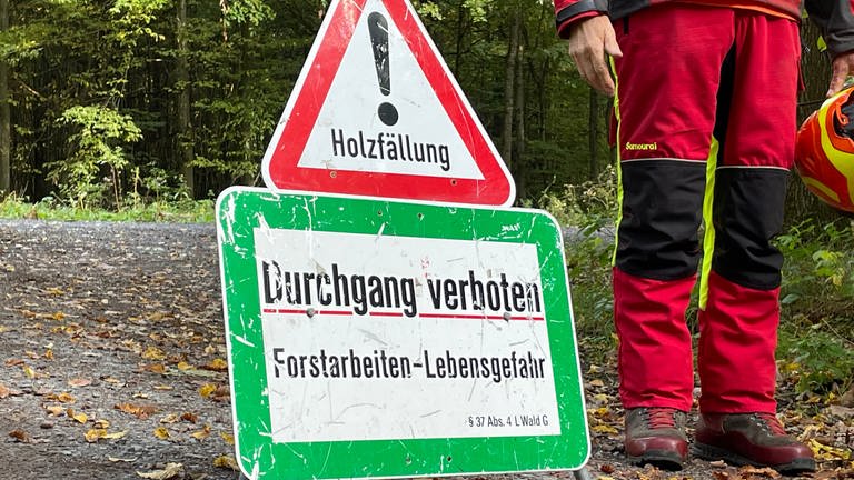 Waldwege für Holzfällarbeiten gesperrt (Foto: SWR)