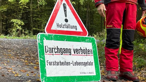 Waldwege für Holzfällarbeiten gesperrt (Foto: SWR)