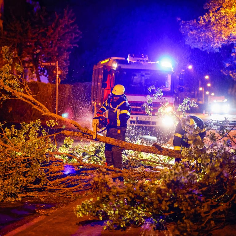 Einsatzkräfte der Feuerwehr zersägen mit einer Kettensäge einen umgestürzten Baum auf einer Straße