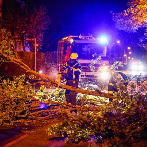 Einsatzkräfte der Feuerwehr zersägen mit einer Kettensäge einen umgestürzten Baum auf einer Straße (Foto: picture-alliance / Reportdienste, picture alliance/dpa/News5 | Oswald)