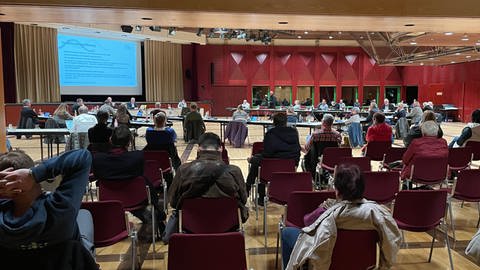 Gemeinderat Neckarsulm entscheidet über AQUAtoll (Foto: SWR, SWR)