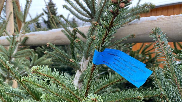 Weihnachtsbaum mit Schild frisch vom Erzeuger Lindenhof Cleebronn (Foto: SWR)