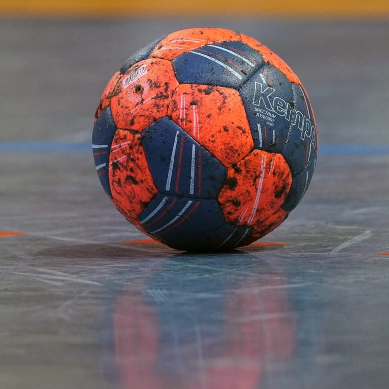 Der Frauenhandball-Bundesligist Sport-Union Neckarsulm hat Trainerin Tanja Logvin und den Sportlichen Leiter Gerhard Husers freigestellt. 