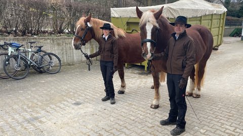 Am Trappensee in Heilbronn finden anlässlich des Pferdemarkts verschiedenste Pferdeprämierungen statt. (Foto: SWR)