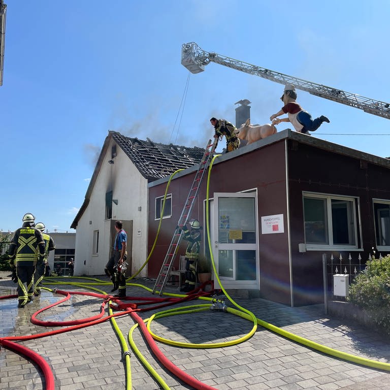 Feuerwehr löscht Brand in Untereisesheim (Foto: SWR)