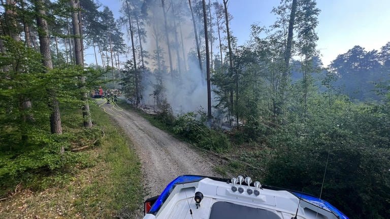 Rund drei Hektar Wald waren vom Brand betroffen.