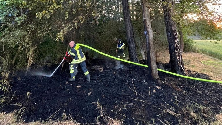 Am Wochenende hat es erneut drei Brände im Wald bei Tauberbischofsheim (Main-Tauber-Kreis) gegeben, diesmal am Hammberg. Zuvor hatte es innerhalb einer Woche gleich sechs Mal am benachbarten Edelberg gebrannt. Die Polizei vermutet Brandstitung.