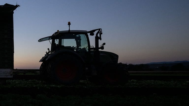 Ein Traktor bei Sonnenaufgang. (Foto: dpa Bildfunk, picture alliance/dpa | Marijan Murat)