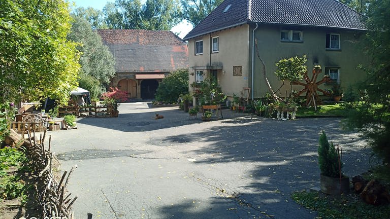 Die Böllinger Mühle in Heilbronn Neckargartach hilft seit zwei Jahren obdachlosen und suchtkranken Menschen, einen Weg zurück in ein geregeltes Leben zu finden.