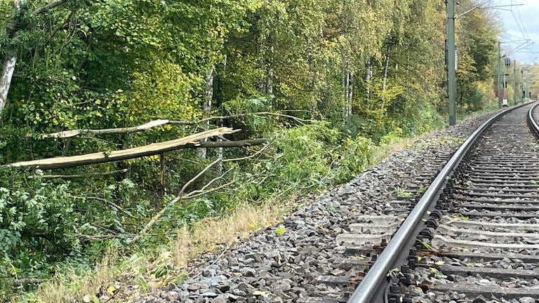 Stadtbahnunfall bei Leingarten: Baum nach Sturm auf Gleise gekippt