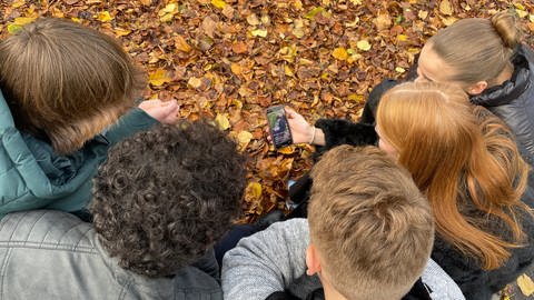 Heilbronner Schüler schauen auf dem Handy eine "Hot-Chip-Challenge"