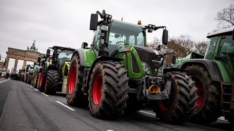 Landwirte nehmen mit Traktoren auf einer Demonstration des Deutschen Bauernverbandes unter dem Motto «Zu viel ist zu viel! Jetzt ist Schluss!» in Berlin teil.  (Foto: picture-alliance / Reportdienste, picture alliance/dpa | Fabian Sommer)