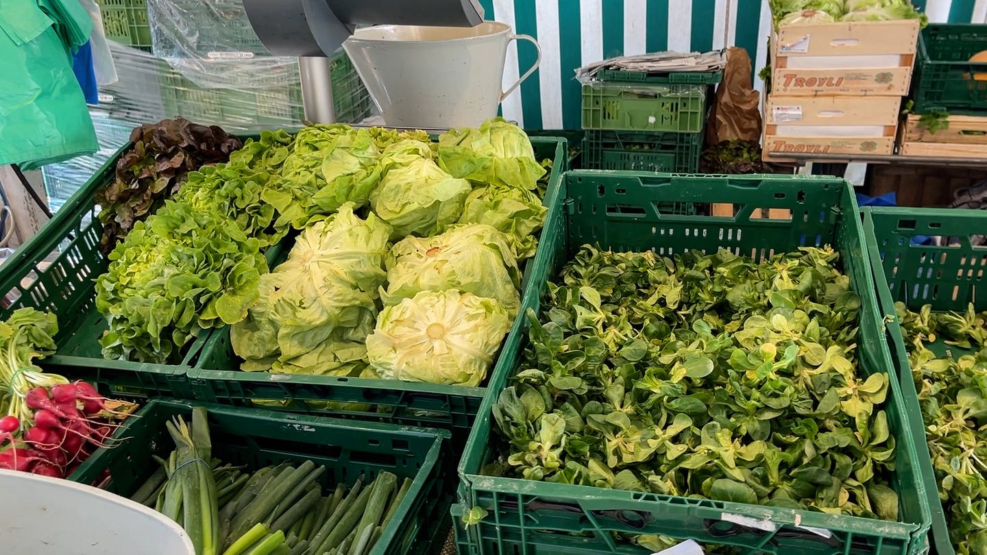 Salat und Gemüse auf dem Heilbronner Wochenmarkt (Foto: SWR, Jürgen Härpfer)