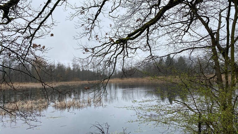 Der Bleichsee ist ein künstlich angelegter See in den Löwensteiner Bergen (Kreis Heilbronn) 
