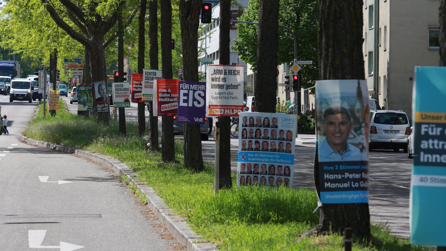 Wahlplakate am Straßenrand zur Kommunalwahl (Foto: SWR, SWR)