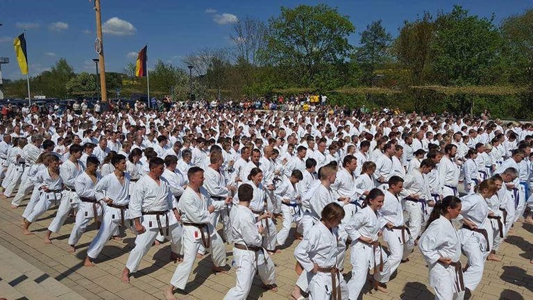 Karate-Sportler zeigen ihr Können in Tauberbischofsheim (Foto: Pressestelle, Kata-Spezial Tauberbischofsheim)