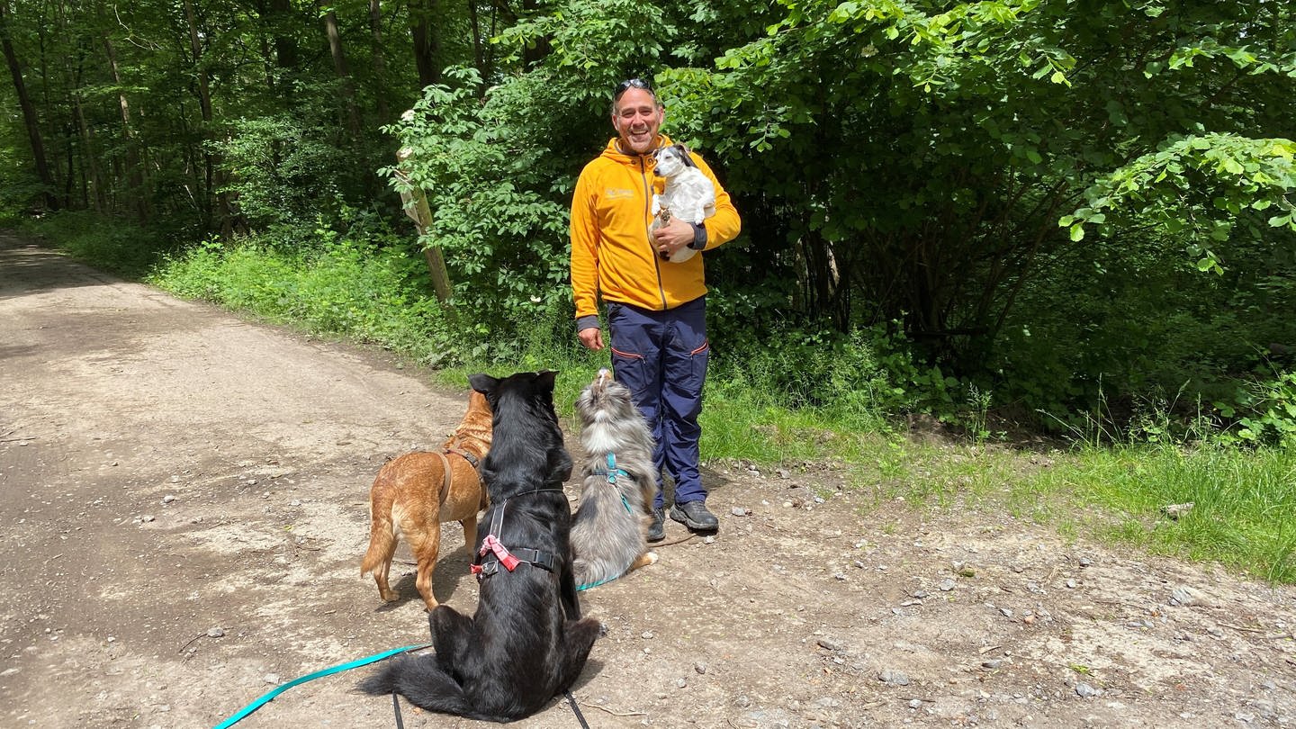 Dogwalker Marco Aldinger bietet einen Gassi-Service rund um Heilbronn an
