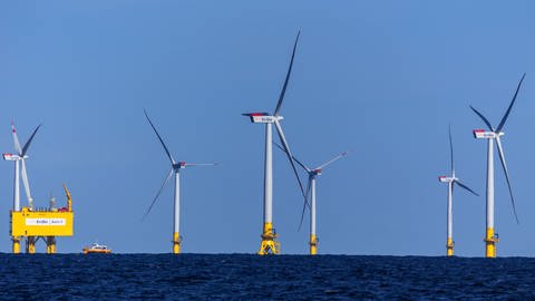 Der EnBW-Windpark Baltic 2 in der Ostsee (Foto: picture-alliance / Reportdienste, picture alliance / Jens Büttner/dpa-Zentralbild/dpa)