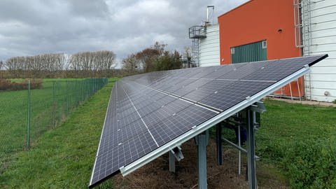 Freiflächen-Photovoltaik-Anlage beim Klärwerk in Linkenheim-Hochstetten (Foto: Pressestelle, Gemeinde Linkenheim-Hochstetten)