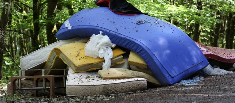 Matratzen und anderer Müll auf einem großen Haufen im Wald. (Foto: IMAGO, IMAGO / Rene Traut)