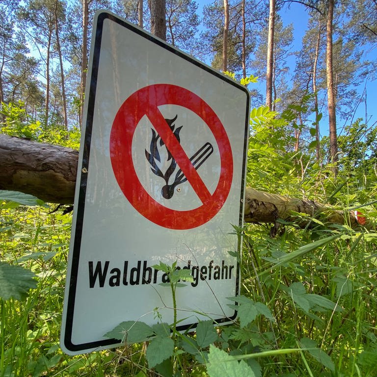Schild mit der Aufschrift Waldbrandgefahr (Foto: picture-alliance / Reportdienste, dpa Bildfunk, Foto: Julian Stratenschulte)
