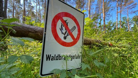 Schild mit der Aufschrift Waldbrandgefahr (Foto: picture-alliance / Reportdienste, dpa Bildfunk, Foto: Julian Stratenschulte)