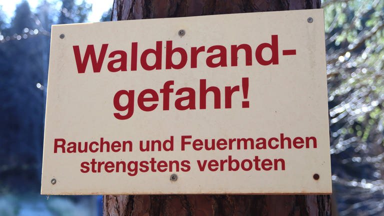 Waldbrandgefahr in den Kreisen Karlsruhe und Rastatt auf höchster Stufe (Foto: IMAGO, IMAGO/Ulrich Wagner; )