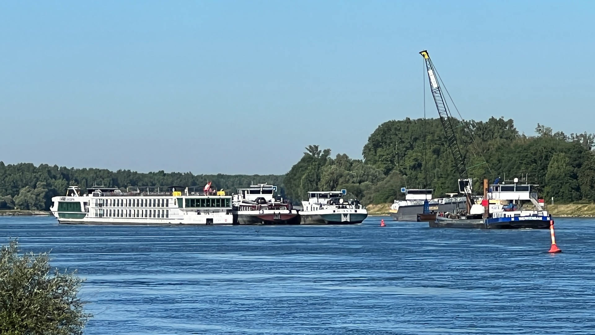 Festgefahrenes Fahrgastschiff auf dem Rhein (Foto: SWR)