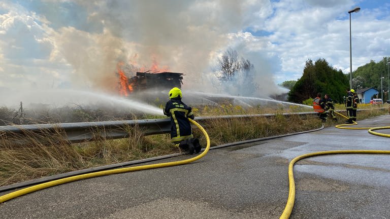 Brand in einem Sägewerk im Elsass, Feuerwehren im Einsatz (Foto: SWR, SWR)