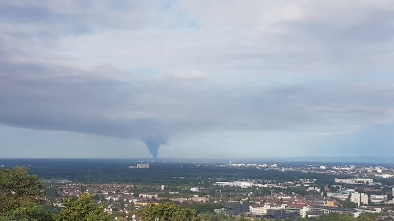 Blick vom Turmberg in Karlsruhe, schwarze Rauchsäule am Horizont (Foto: SWR, SWR)