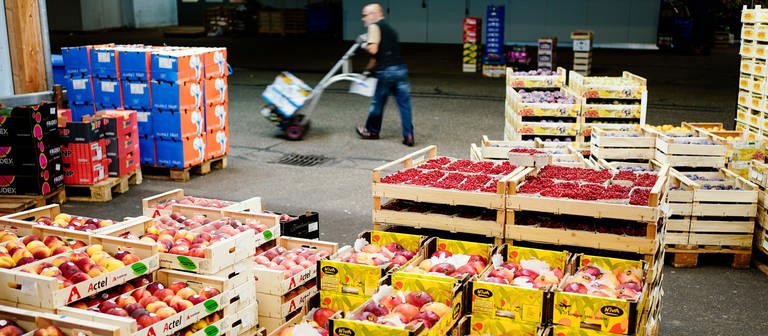 Morgendliche Gemüseanlieferung bei der Firma Koch auf dem Karlsruher Großmarkt (Foto: picture-alliance / Reportdienste, picture alliancedpa  Uwe Anspach)