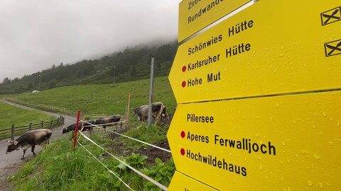 Die Einheimischen von Obergurgl stören sich nicht im Regenwetter (Foto: SWR)