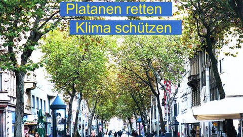 Postkarte, die das Klimabündnis Karlsruhe an den Oberbürgermeister Frank Mentrup geschickt hat, um die Fällung der Platanen in der Kaiserstraße Karlsruhe zu verhindern.  (Foto: Pressestelle, Klaus Heid)