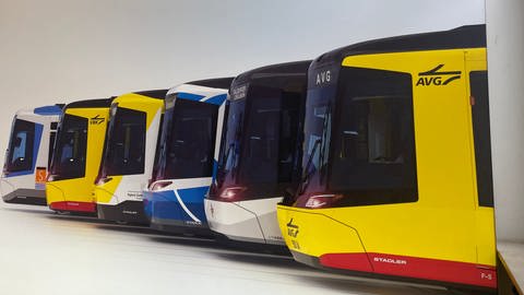 Einzigartiges Beschaffungsmodell beim TramTrain-Projekt nach Aussage der Verkehrsbetriebe Karlsruhe, viele gleiche Teile aber individuelle Lösungen möglich. (Foto: SWR, Felix Wnuck)